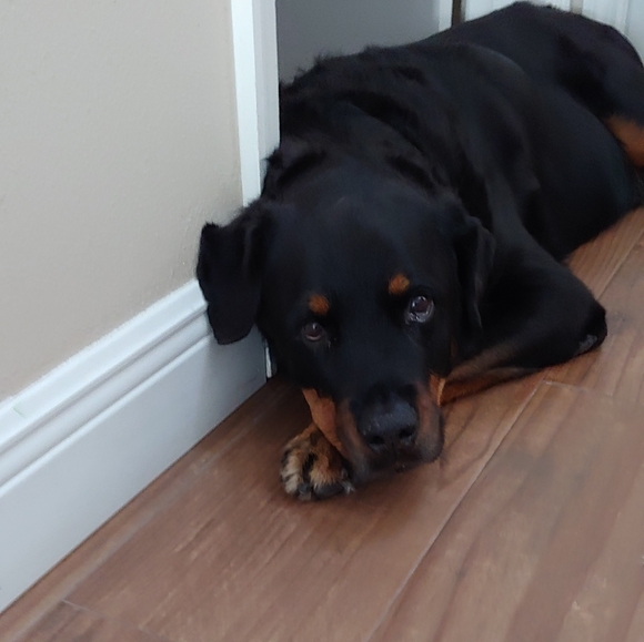 Not for sale - Picture 10 of 12